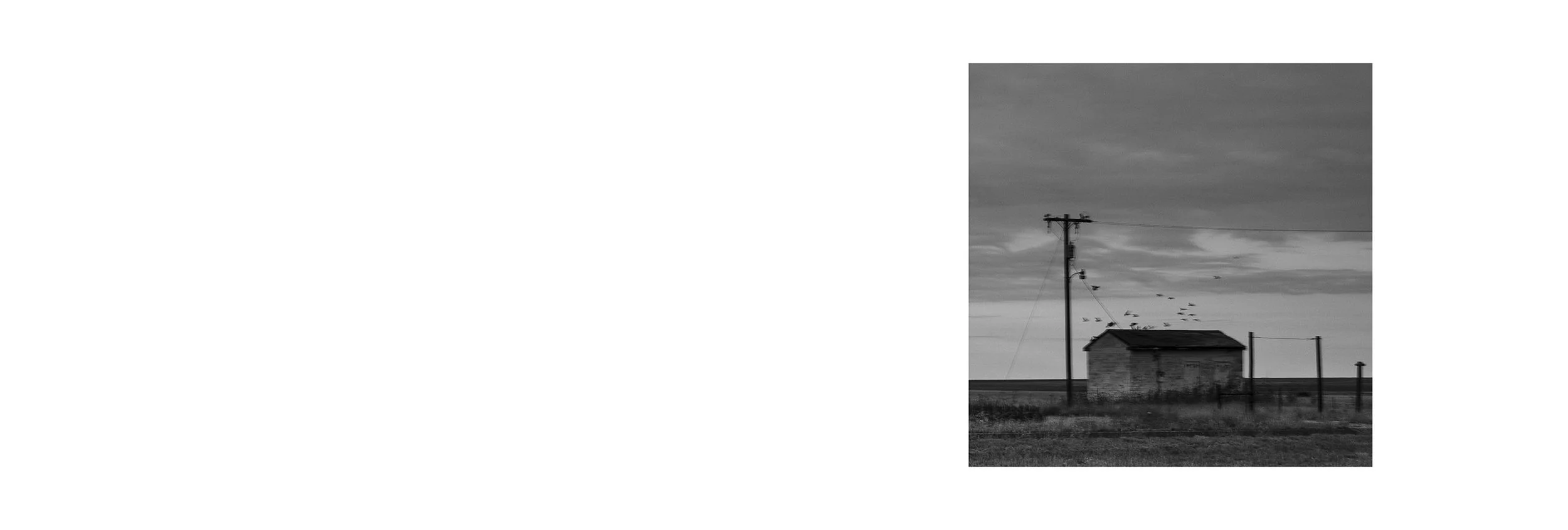 A black and white photo of a rural scene with an old house, power lines, and barbed wire fences, under a cloudy sky, with birds flying around the pole.