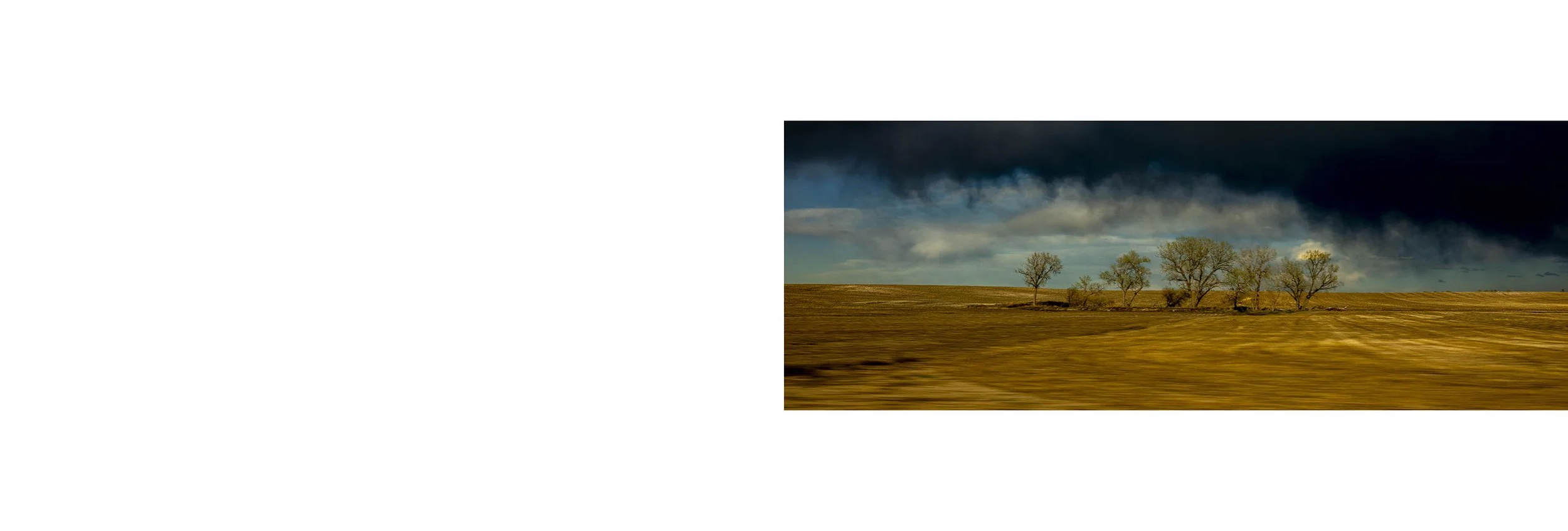 A landscape featuring a row of trees on rolling hills with a dark, cloudy sky overhead.