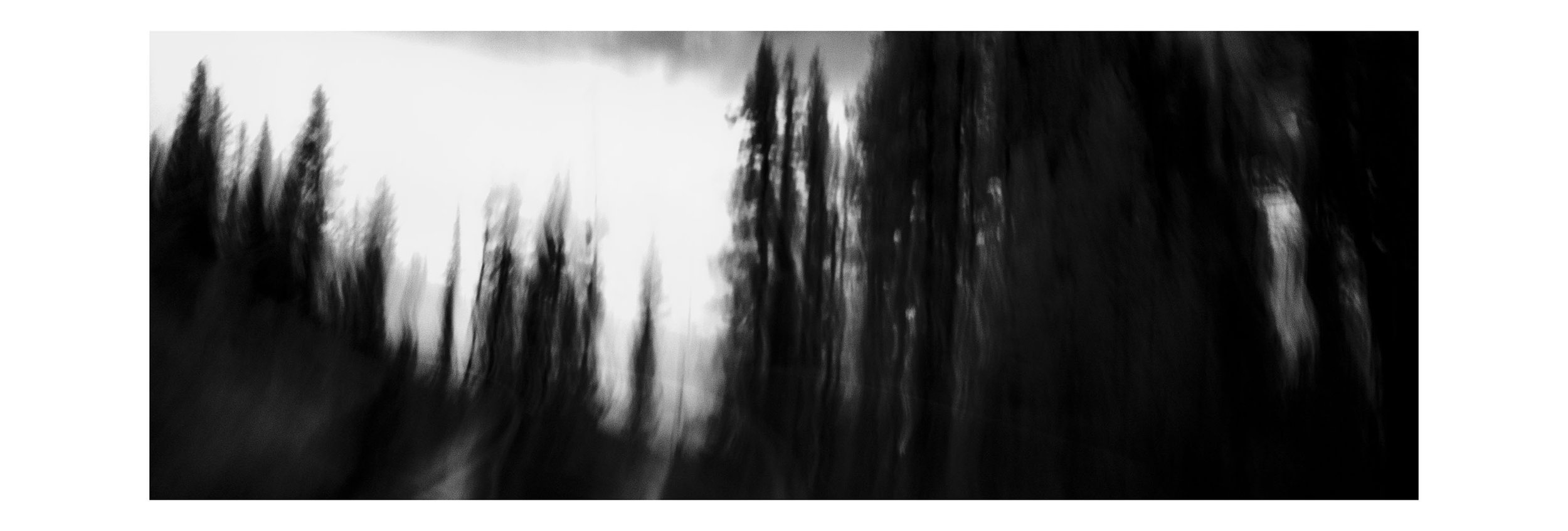 Blurred black and white photo of trees along a road, with a cloudy sky in the background.