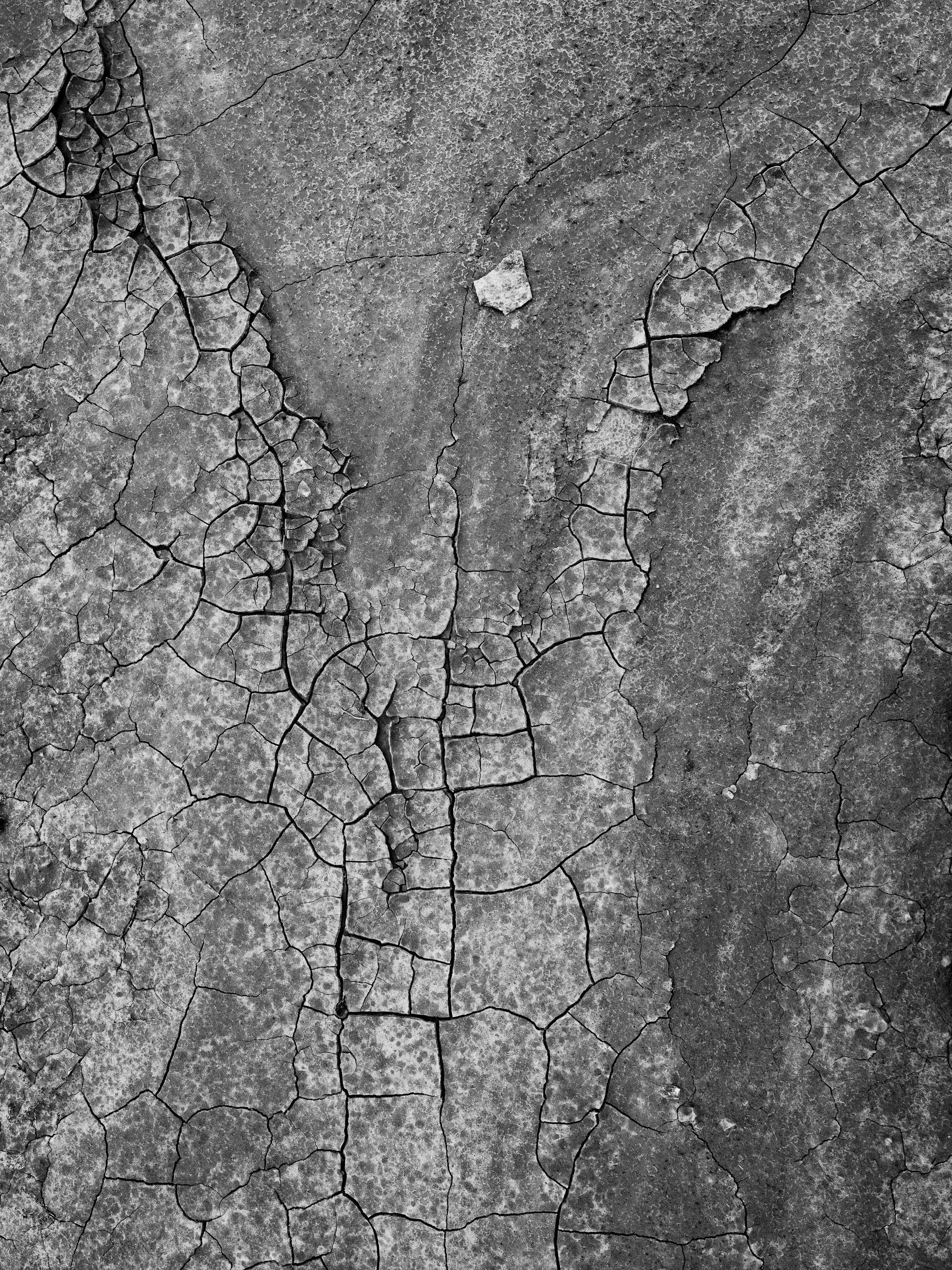 Close-up of cracked, dry, weathered concrete surface.