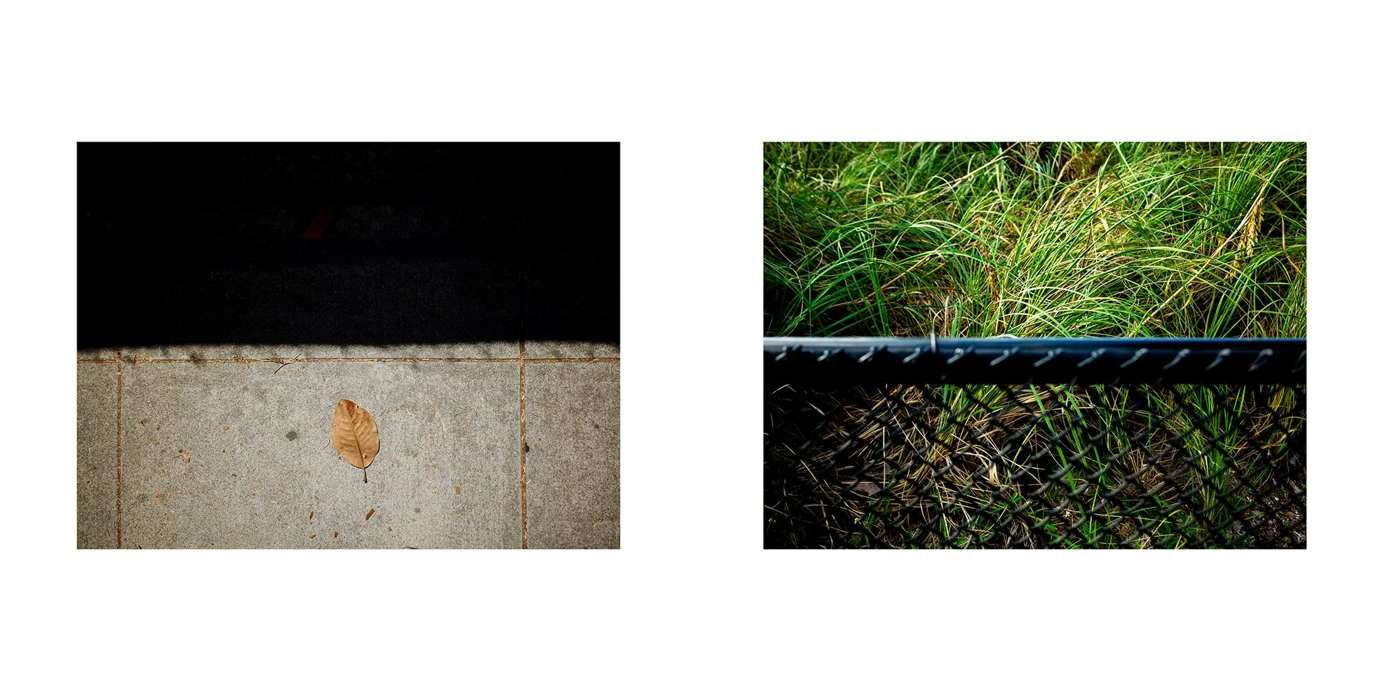 Left side: A brown leaf on grey tiled sidewalk with a black shadow behind it. Right side: Green bushes behind a black chain-link fence.