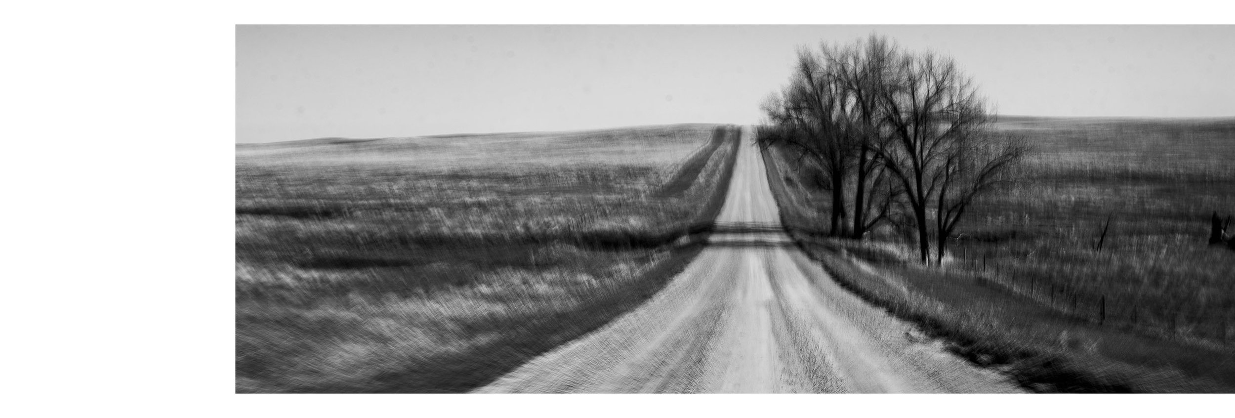 A black and white photo of a rural dirt road stretching through open fields, with a group of leafless trees on the right side.