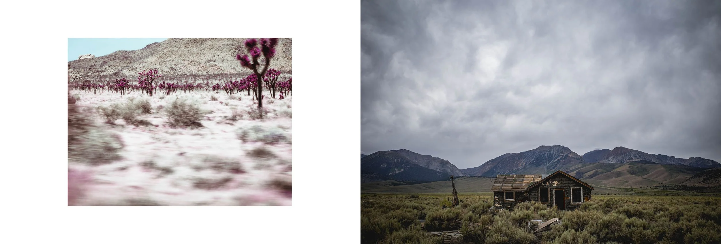 A split image with the left side showing a blurry landscape of pink trees and hills, and the right side showing a clear view of a small abandoned house in a grassy field under a cloudy sky with mountains in the background.