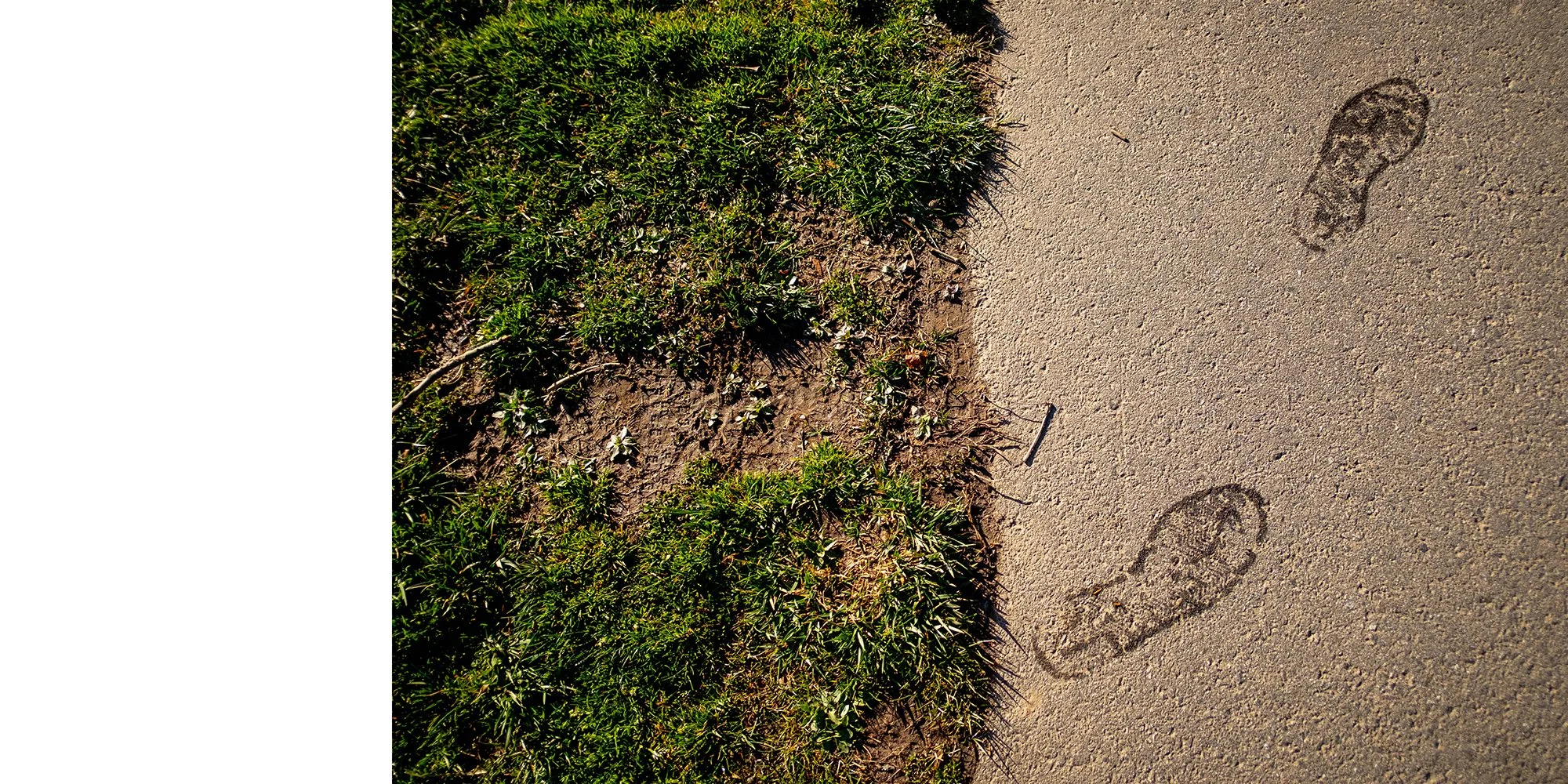 Footprints of two people walking on a sandy path next to green bushes.