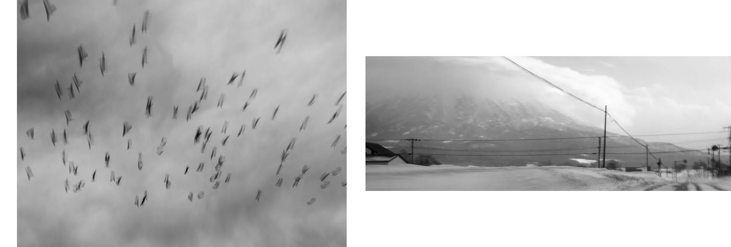 A collage of two black and white images: the left shows a flock of birds flying in a cloudy sky, and the right shows a landscape with a mountain, power lines, and a road.