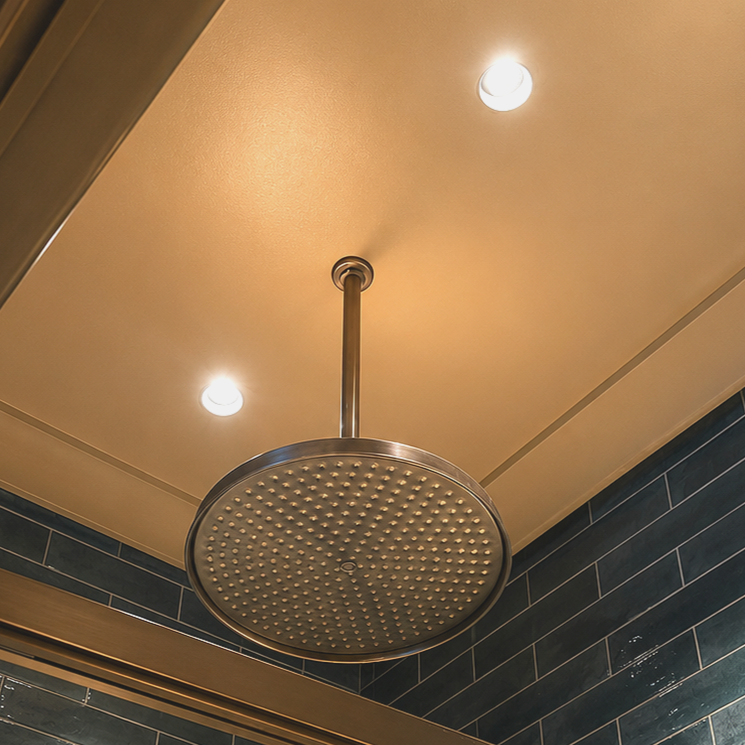 WOW%21house+Ceiling+lights+in+shower+by+Butler+Harwell.png