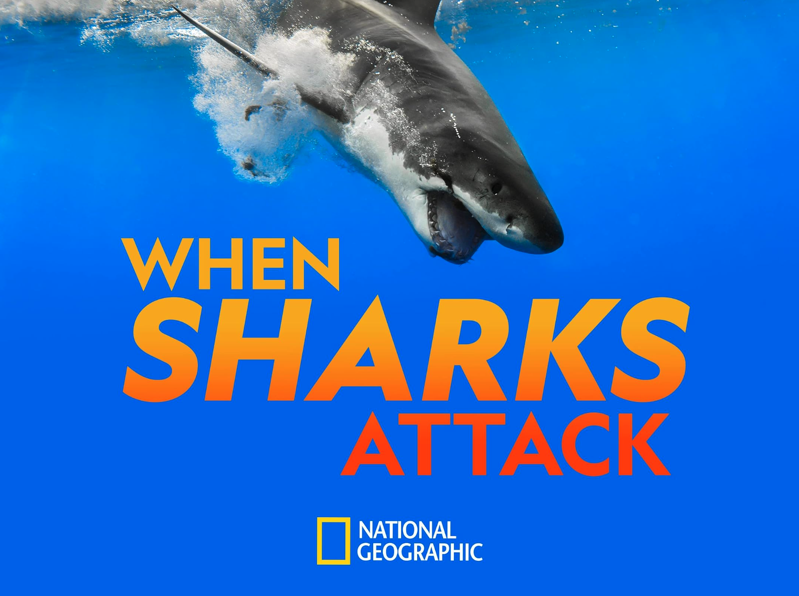 When Sharks Attack
