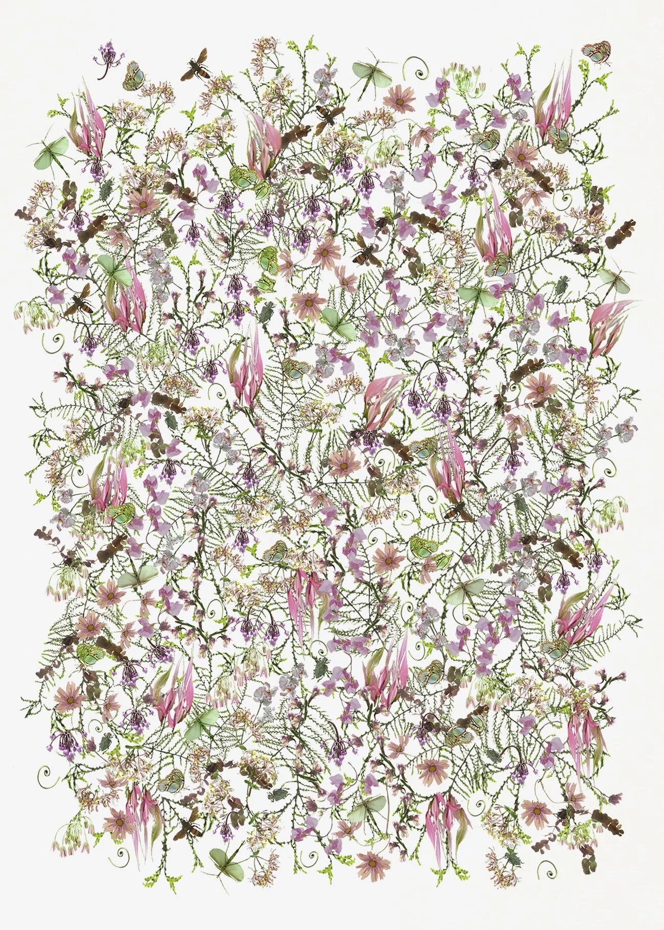 Tapestry 6