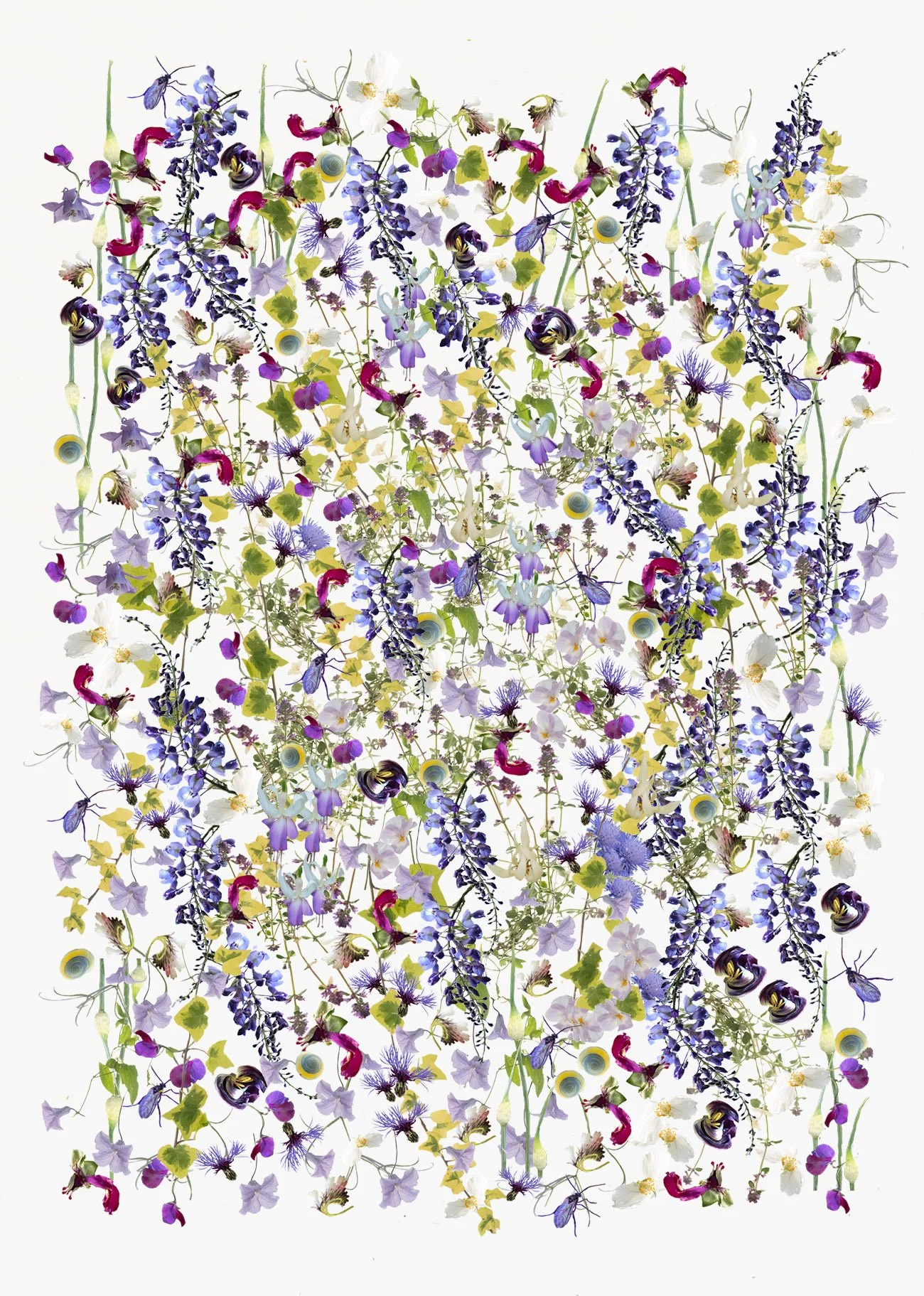 Tapestry 3
Also part of my successful panel for the Royal Photographic Society Associateship