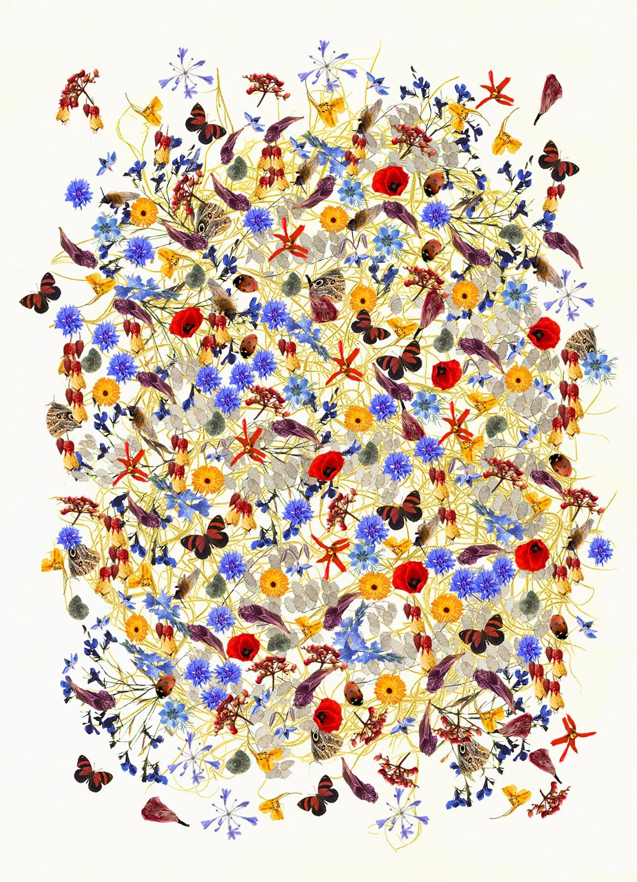 Tapestry 2
Also part of my successful panel for the Royal Photographic Society Associateship