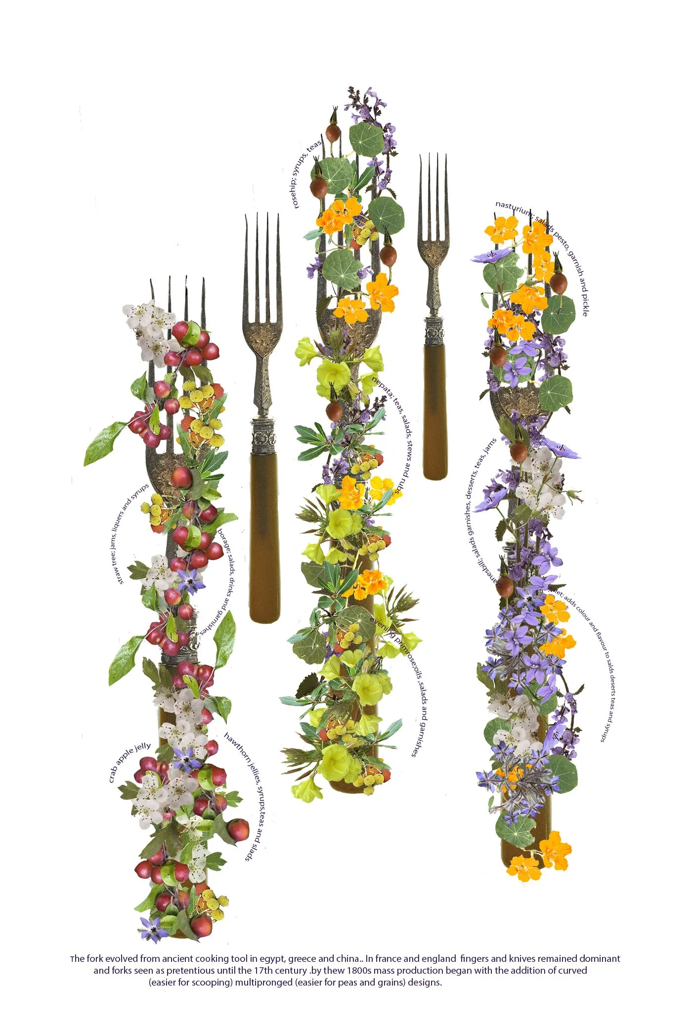 Forks  with edibles 
