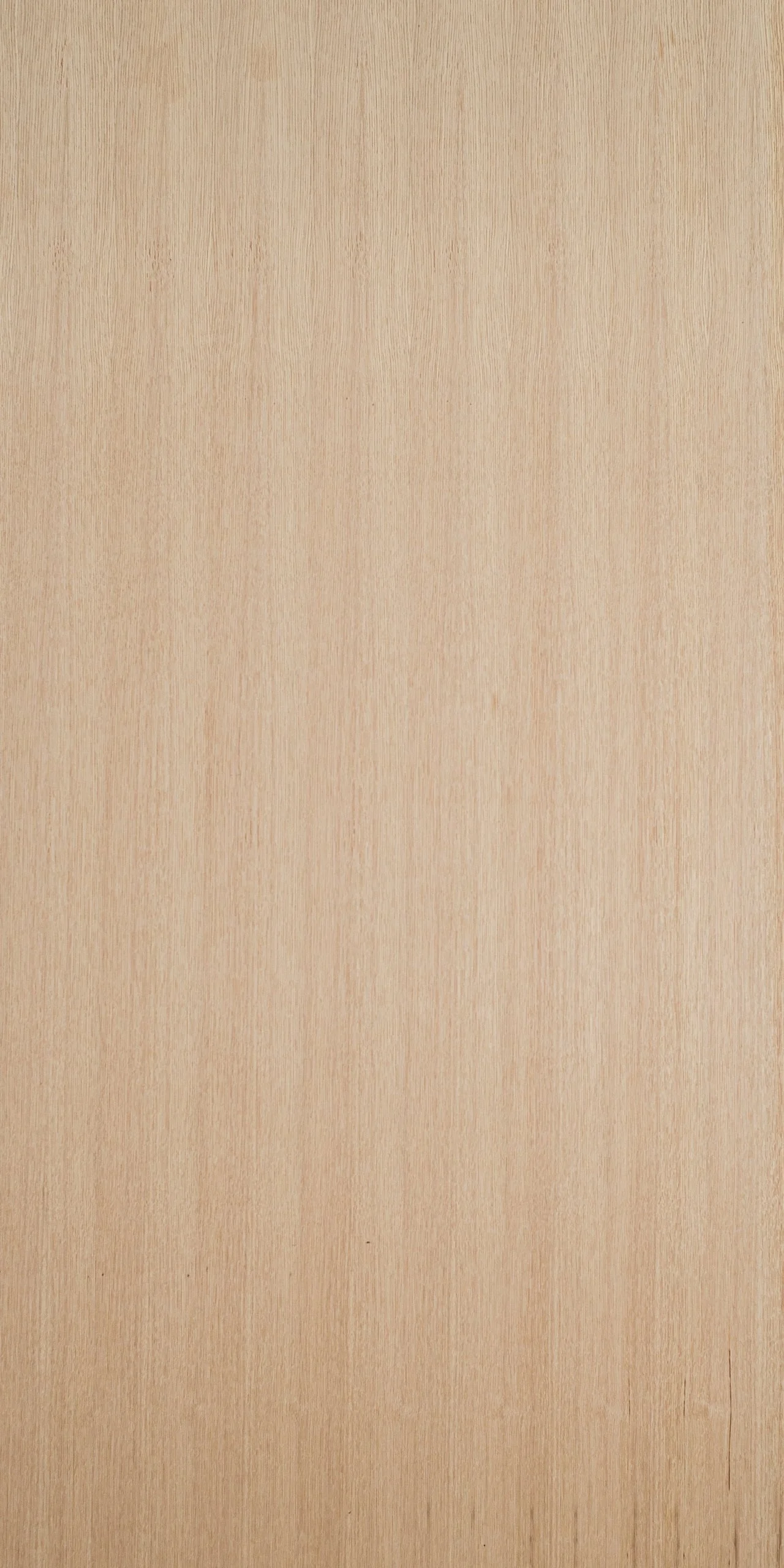 ENCINO BLANCO CHAPA NATURAL — TAROPA, TU PROVEEDOR DE CHAPA DE MADERA ...