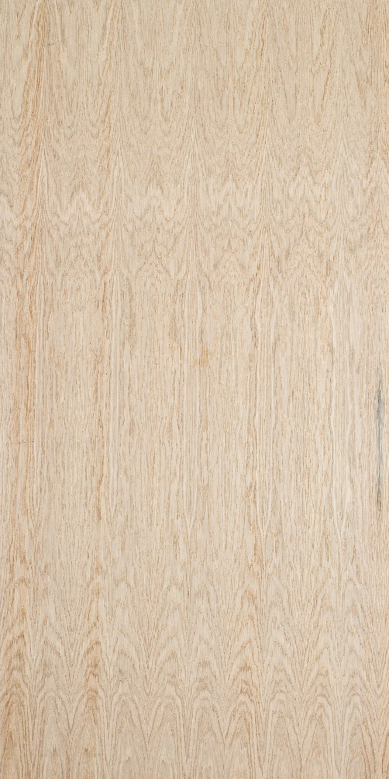 ENCINO BLANCO CHAPA NATURAL — TAROPA, TU PROVEEDOR DE CHAPA DE MADERA ...
