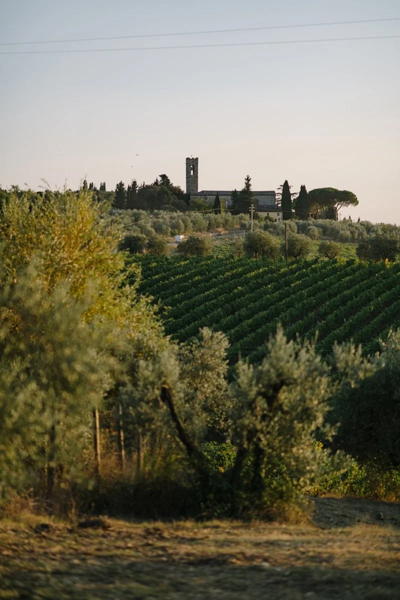View of the vineyards around Castello Il Palagio with a small church visible on the nearby hill in Tuscany.