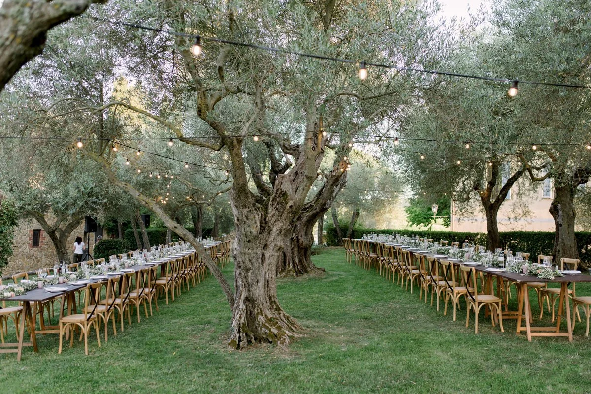 Wedding dinner with long tables under a large olive tree and string lights at Terre di Nano in Val d’Orcia.