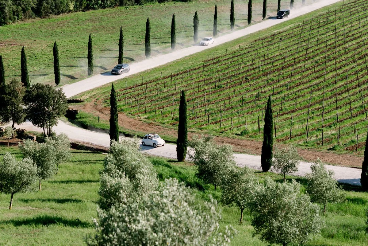 Wedding car arriving at Conti di San Bonifacio along a road lined with tall Tuscan trees.