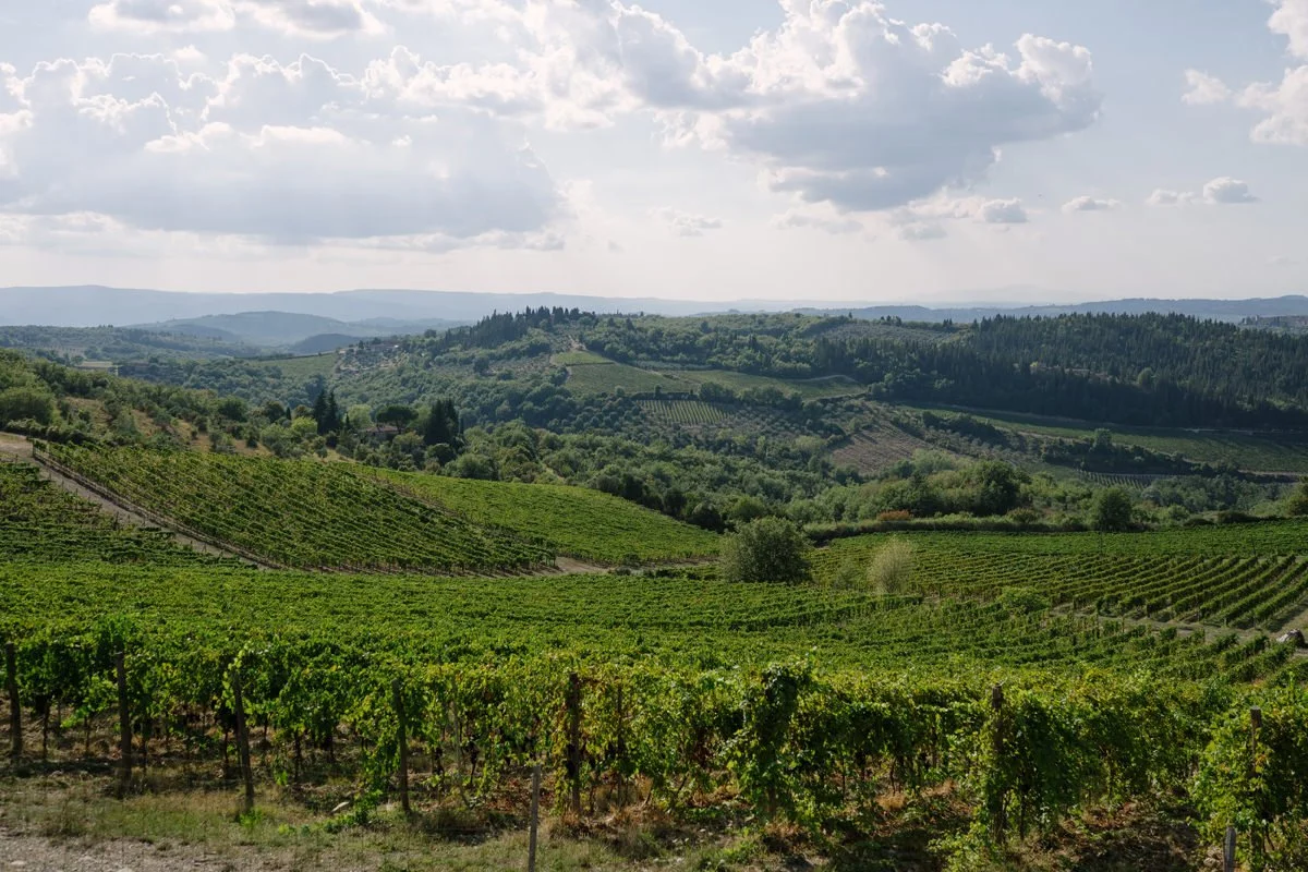 View over the vineyards surrounding Le Filigare wedding venue in Tuscany.