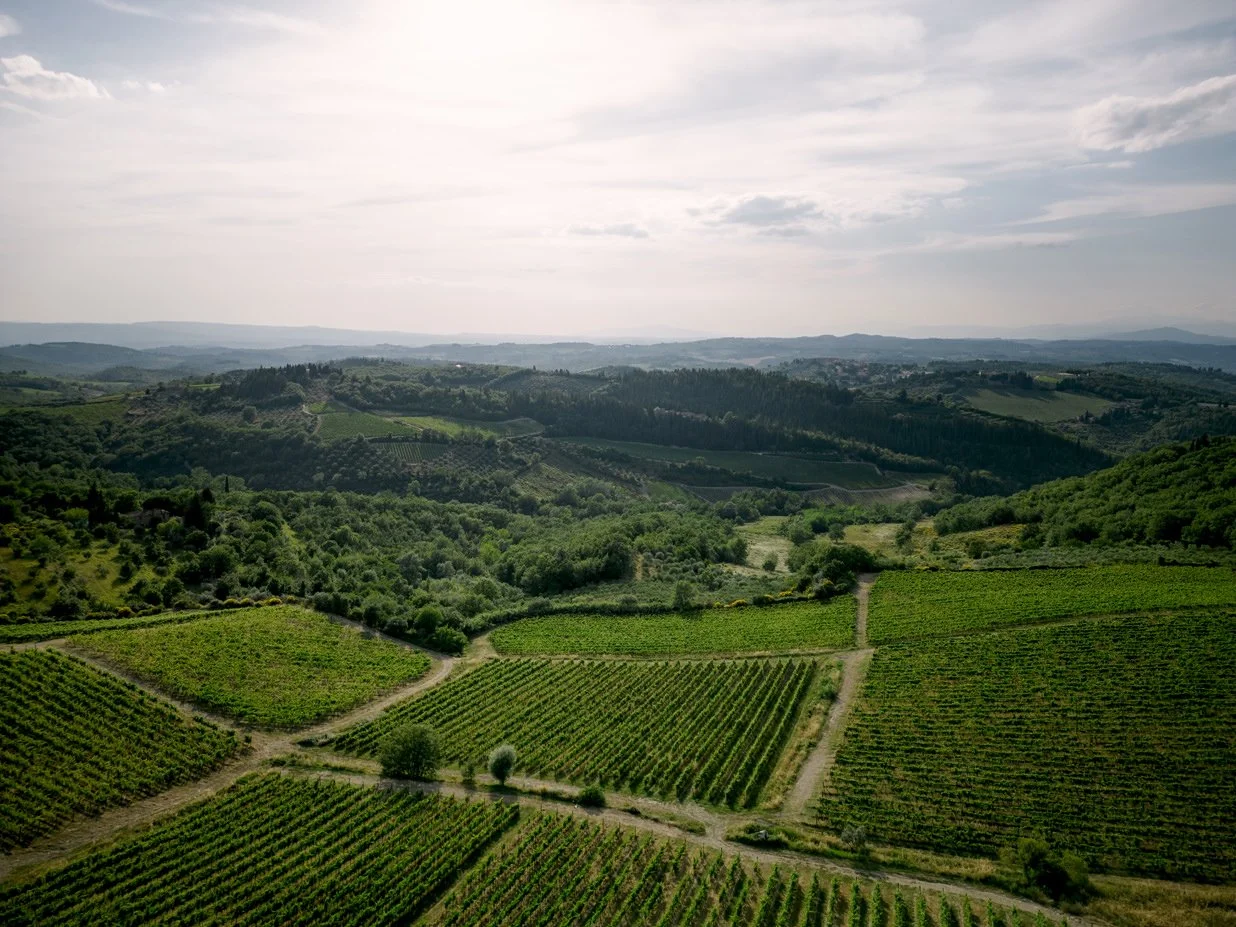 Aerial view over the vineyards surrounding Le Filigare wedding venue in Tuscany.