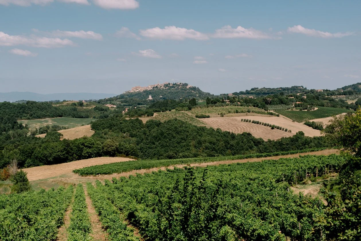 View from Terre di Nano wedding venue in Val d’Orcia, overlooking vineyards and the hilltop town of Montepulciano in Tuscany.