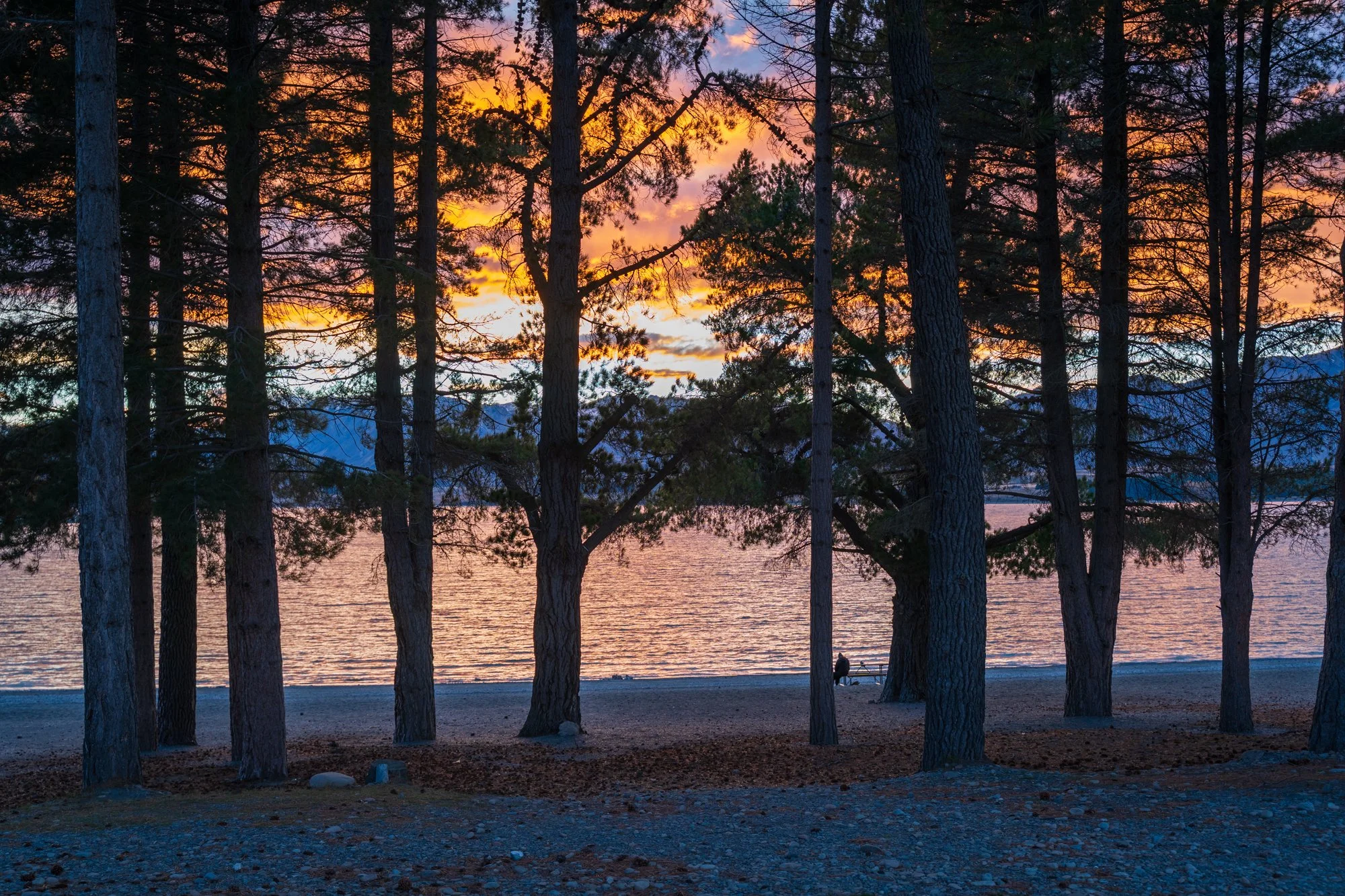 BreatheTekapo_25_Day2_web-4.jpg