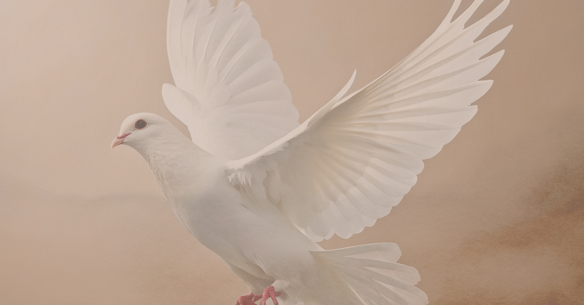 Website Image (3).png