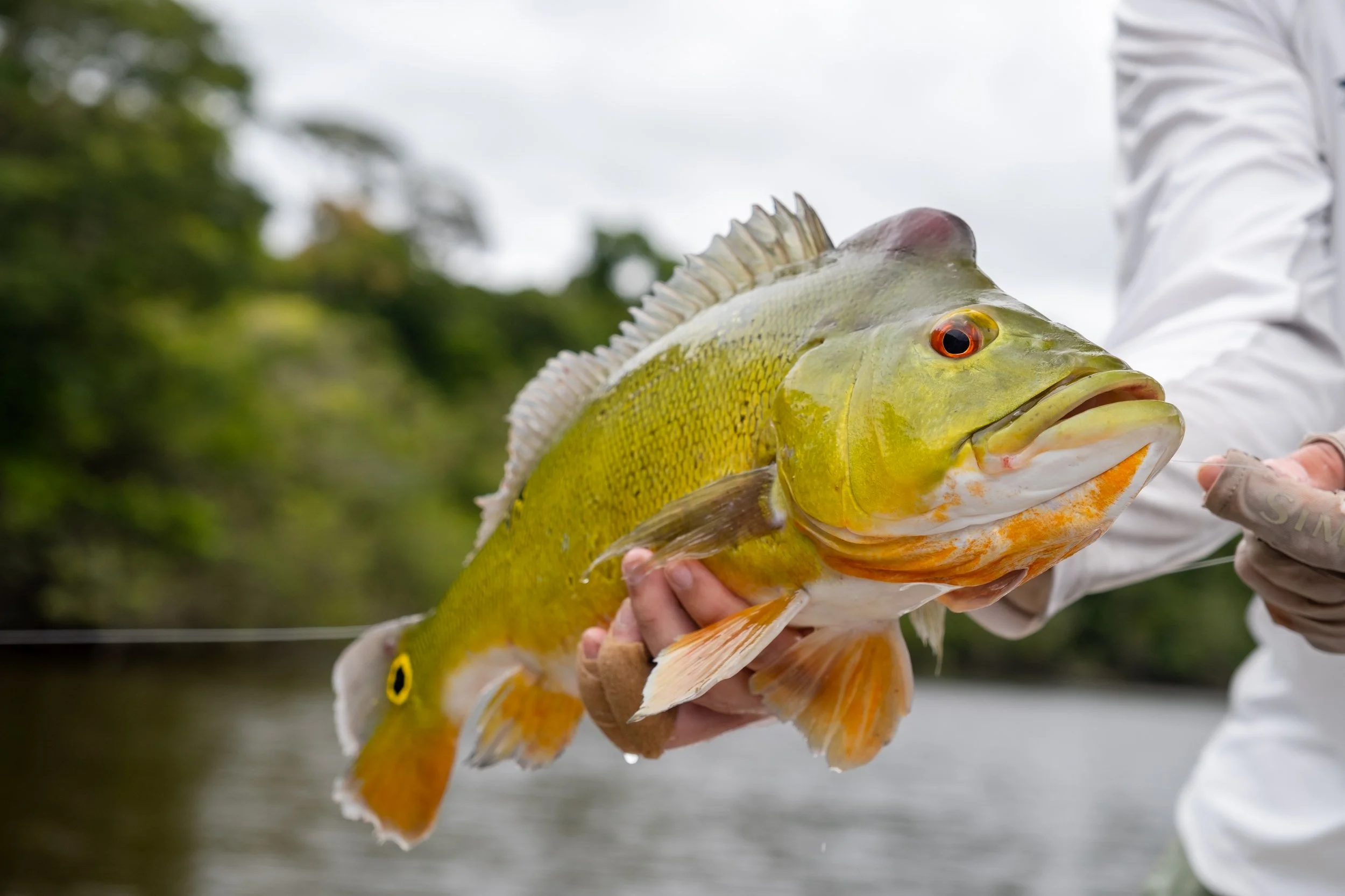 Johann du Preez Rewa 2022-46.jpg