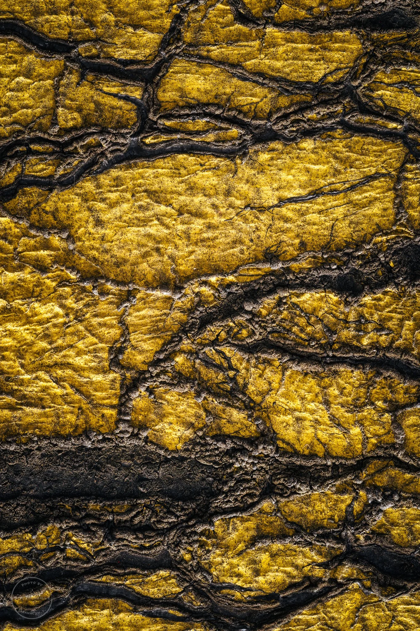 The Nature of Things