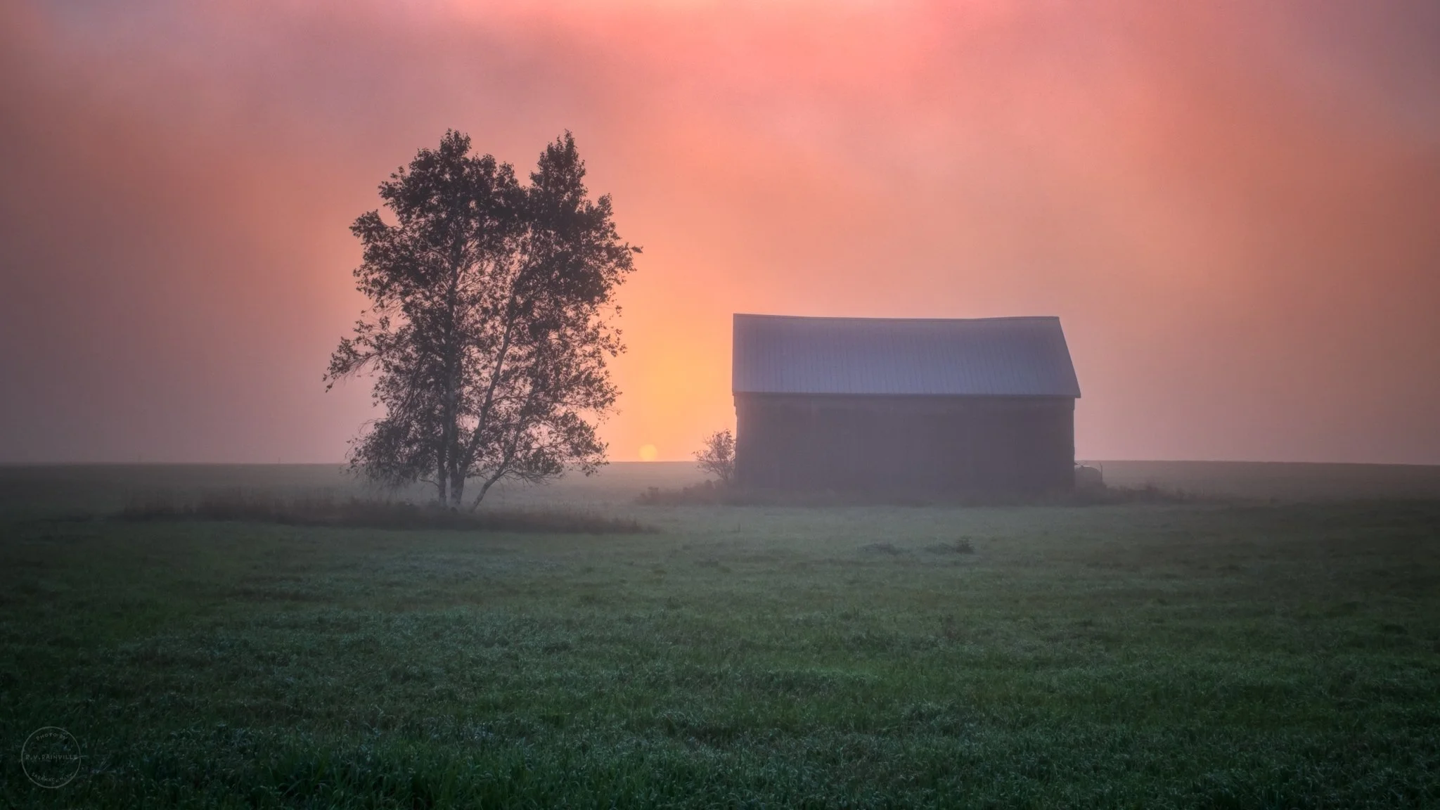 Norman Ridge in pink