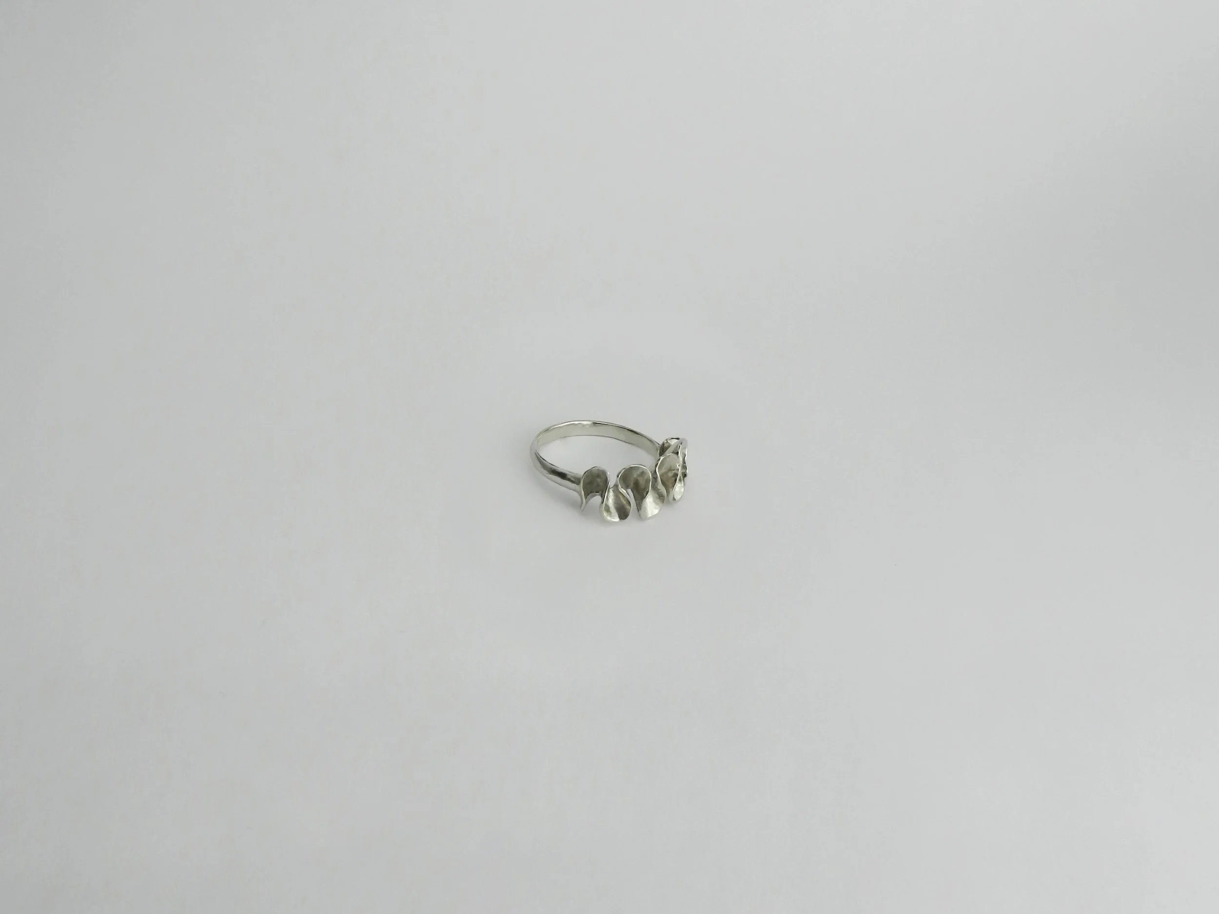 DSCN8414.jpg
