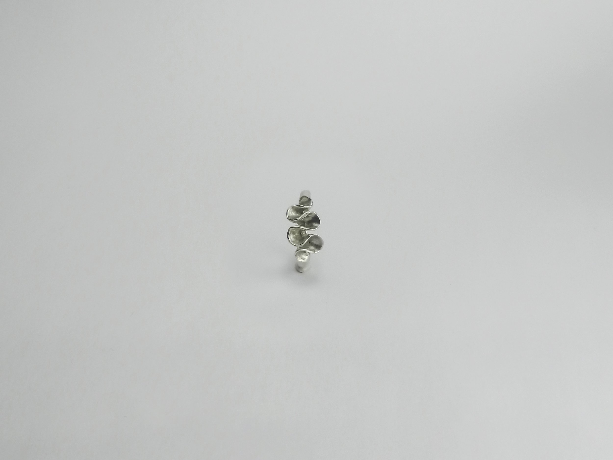 DSCN8407.jpg