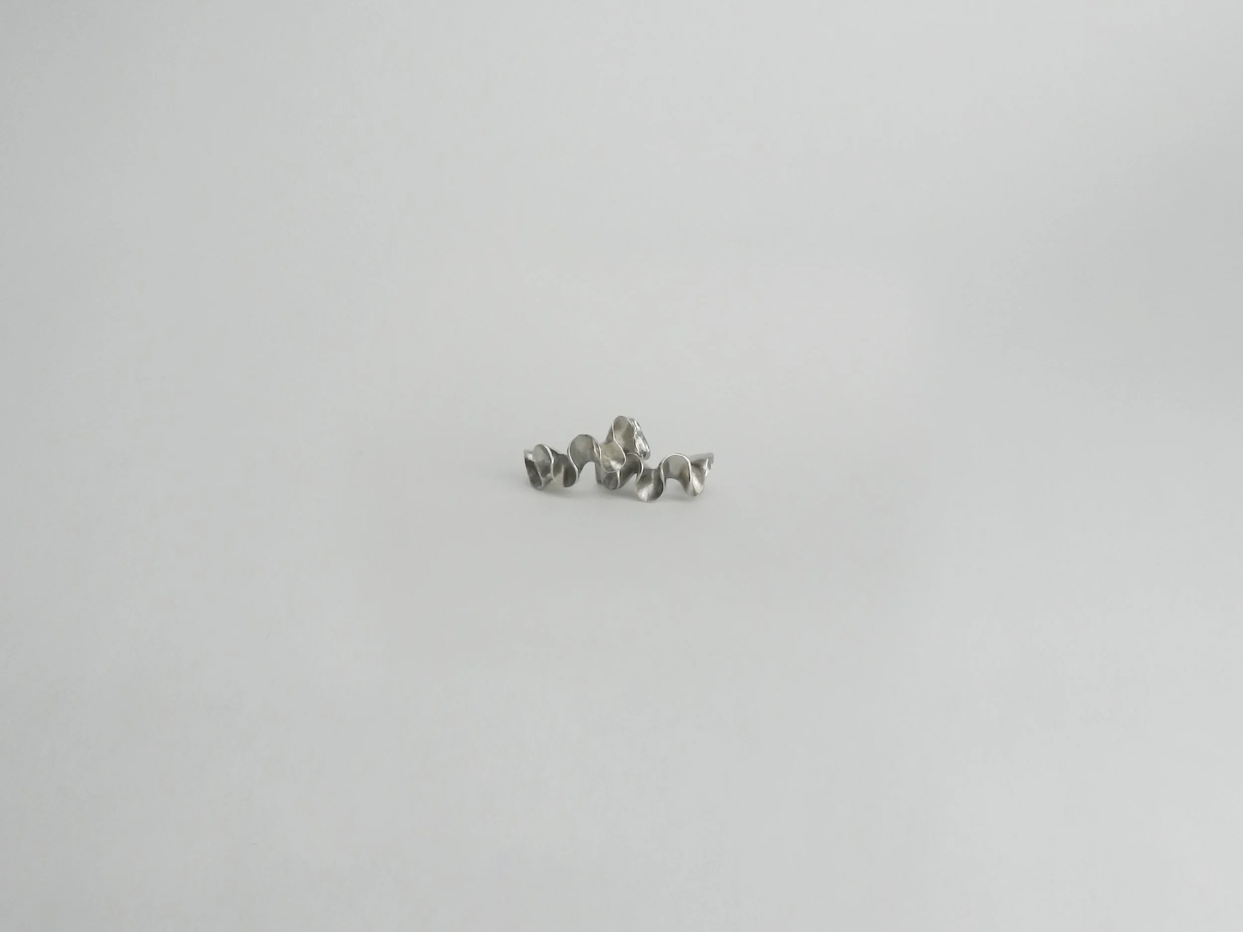 DSCN8460.jpg