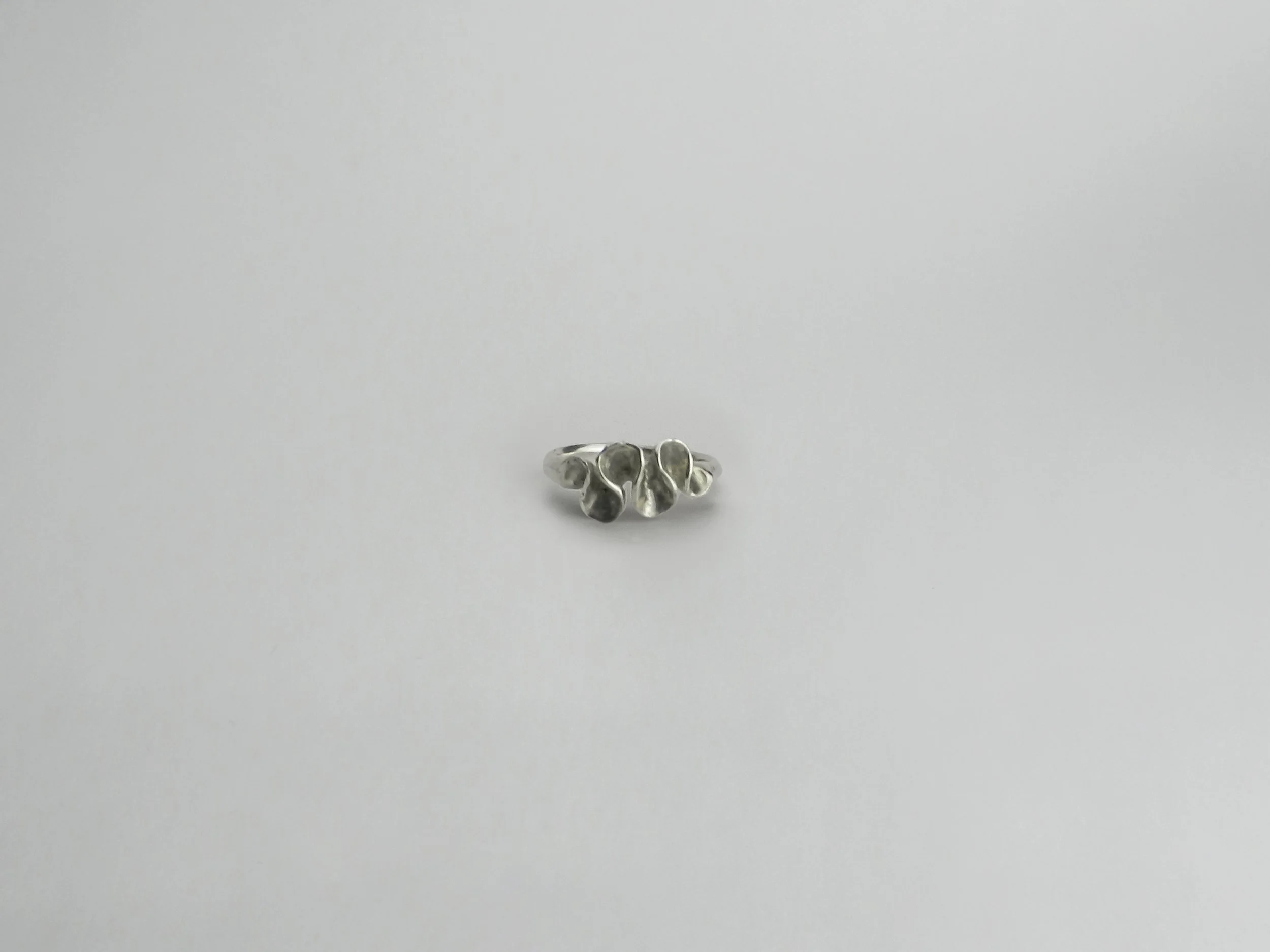 DSCN8404.jpg