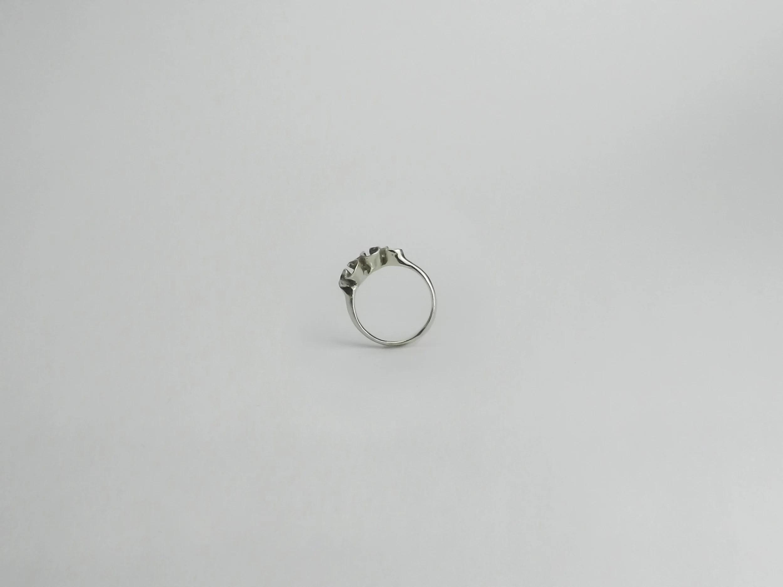 DSCN8408.jpg