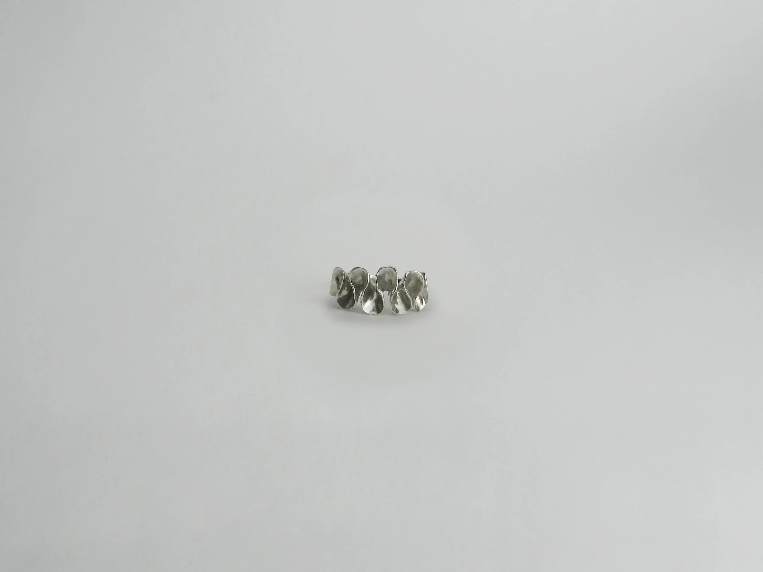 DSCN8411.jpg