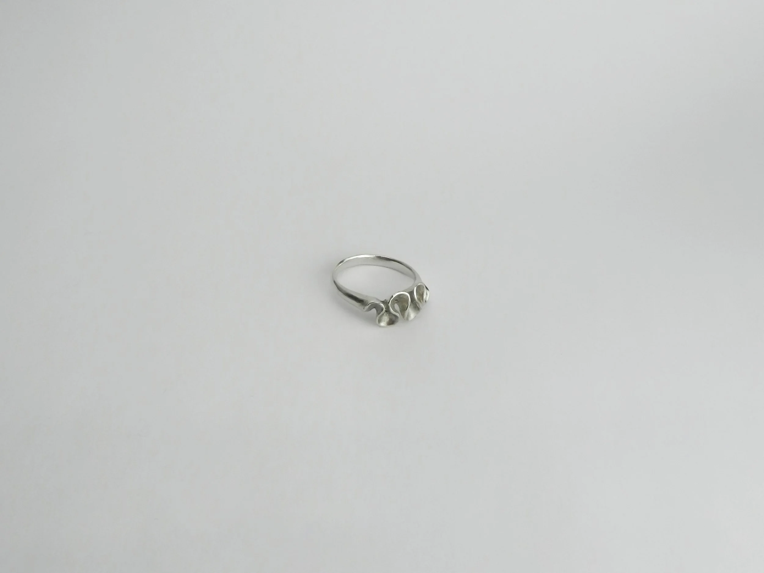 DSCN8415.jpg