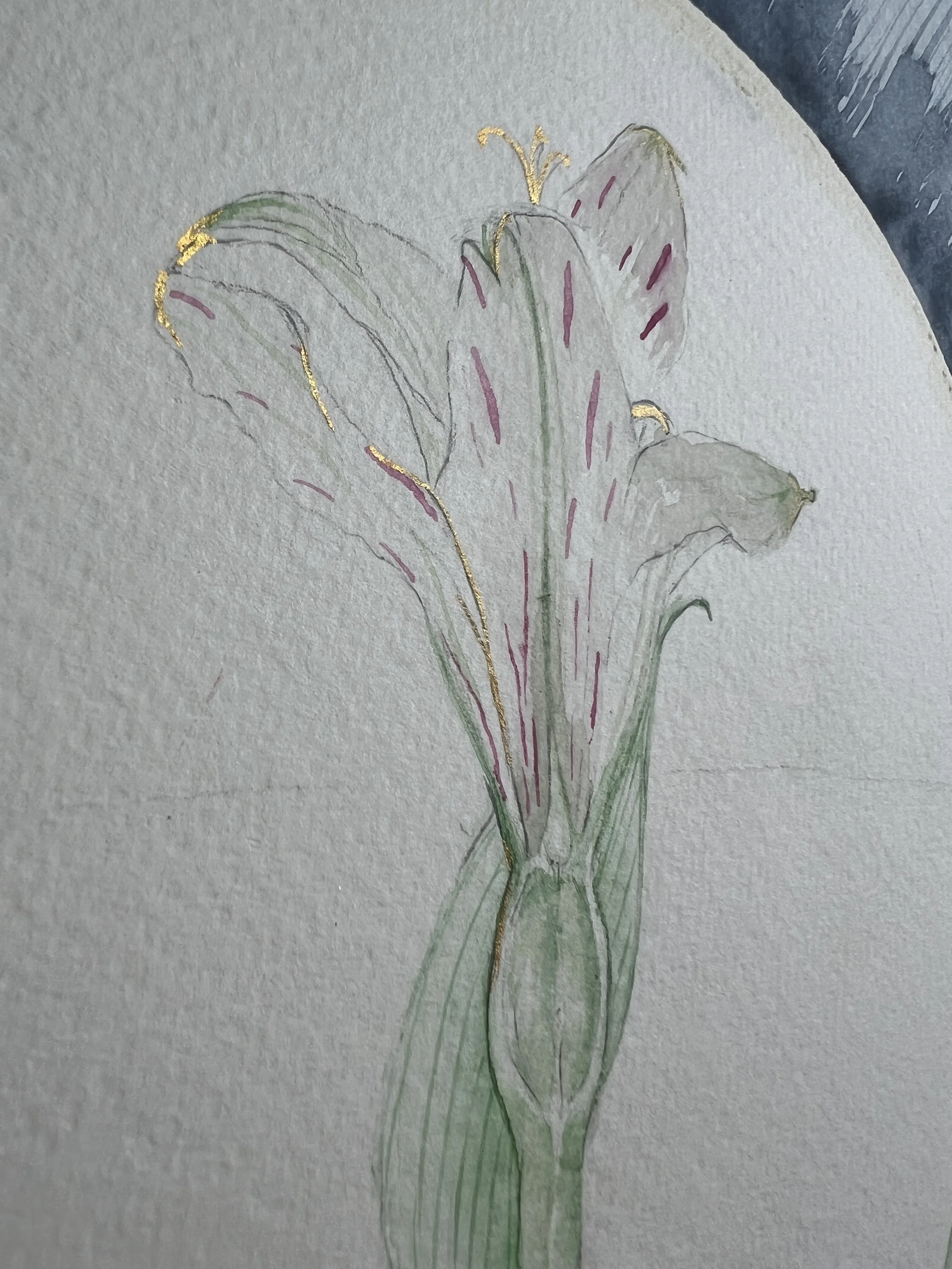 detalles de los brillos sobre la acuarela