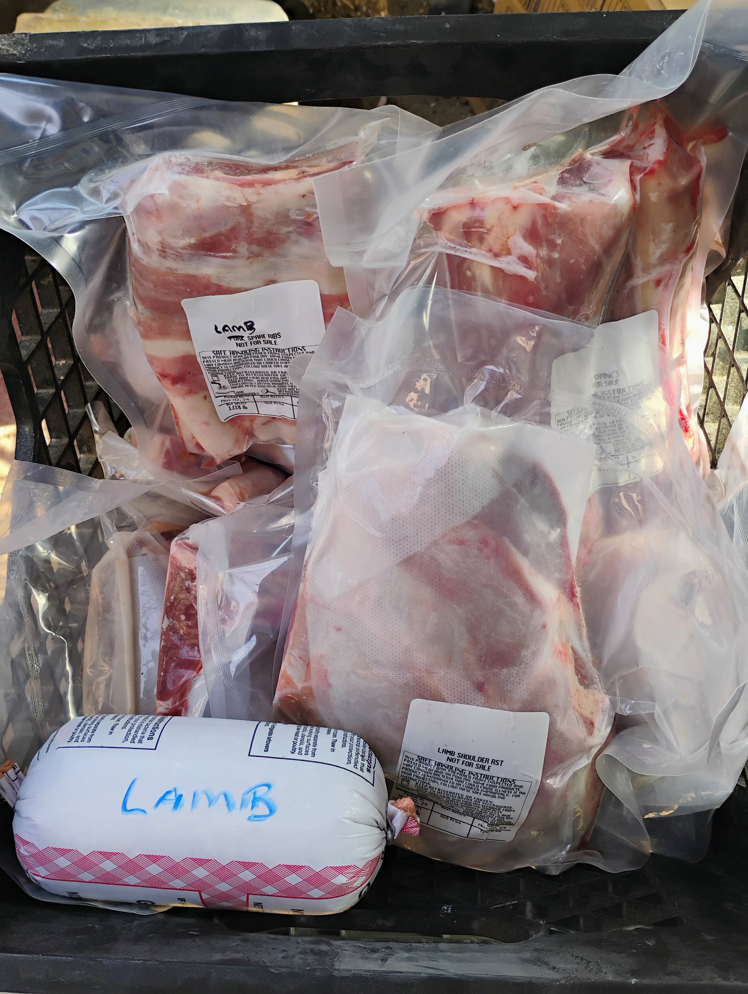 Lamb