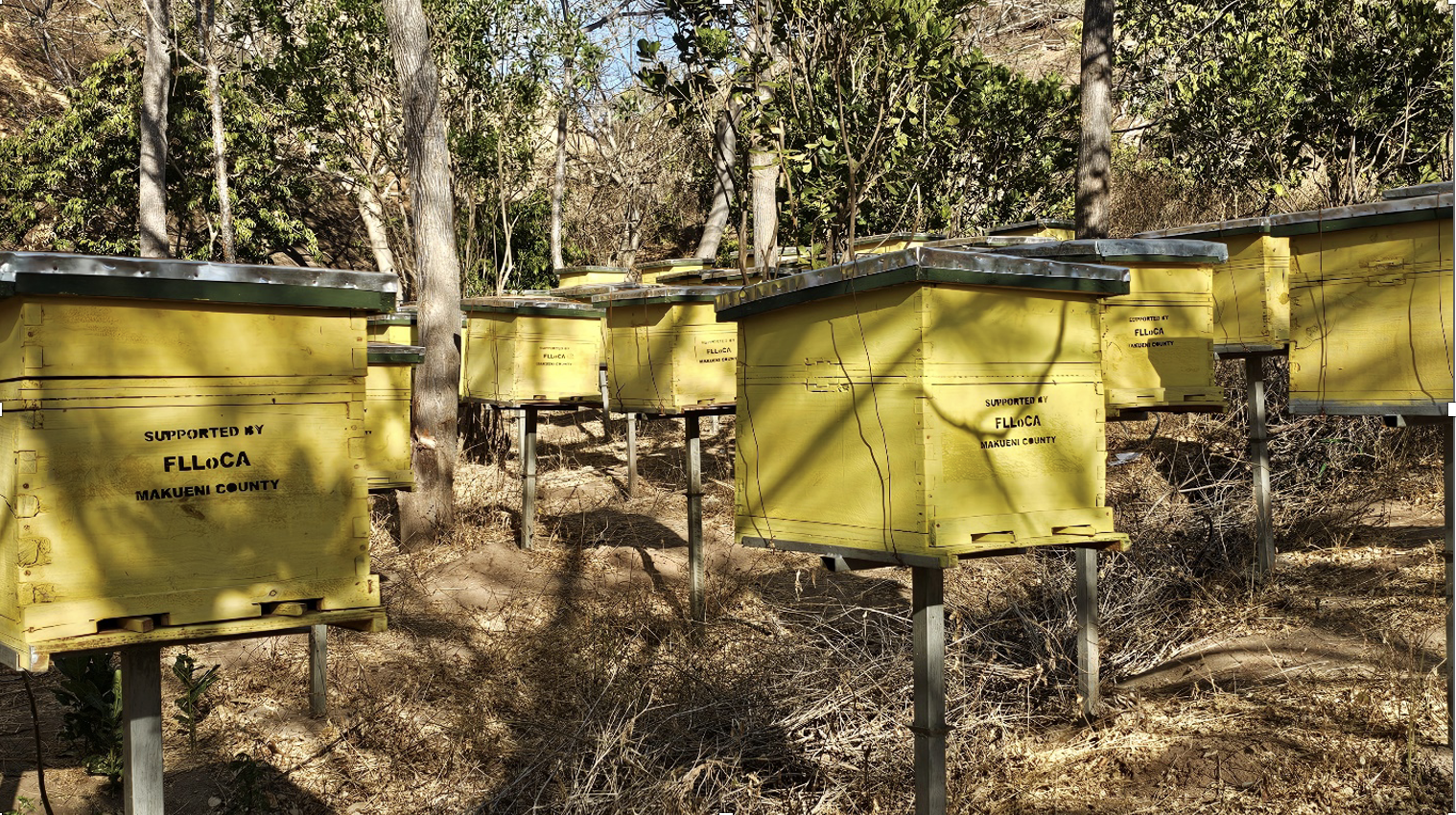 Reflections from scoping work in Kenya