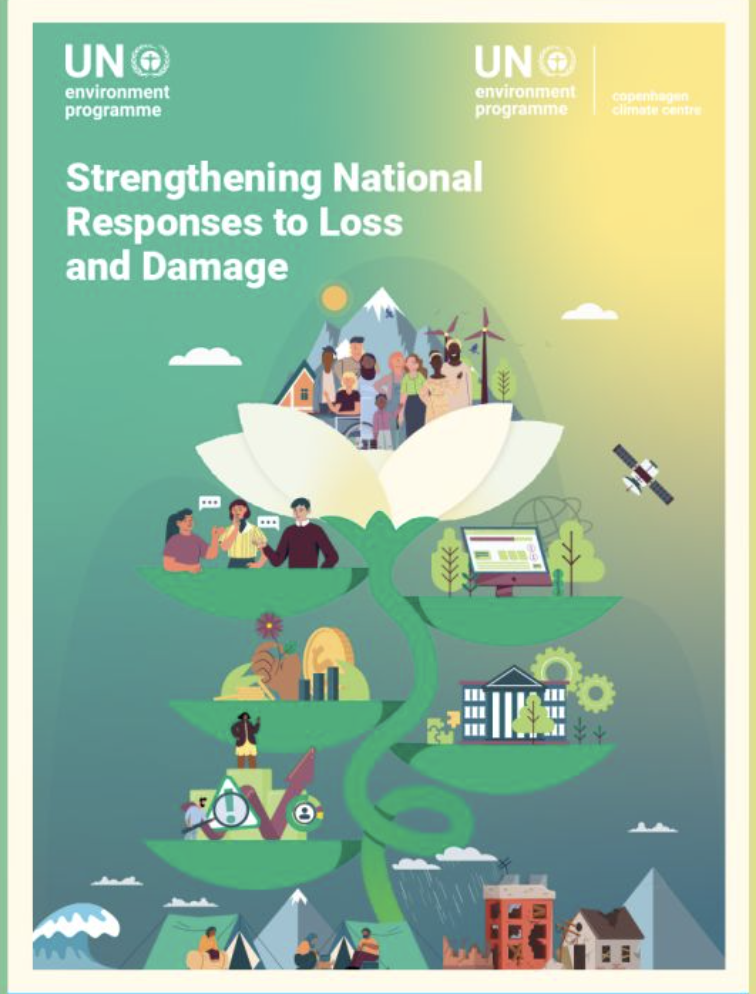 Strengthening national responses to loss and damage MERL