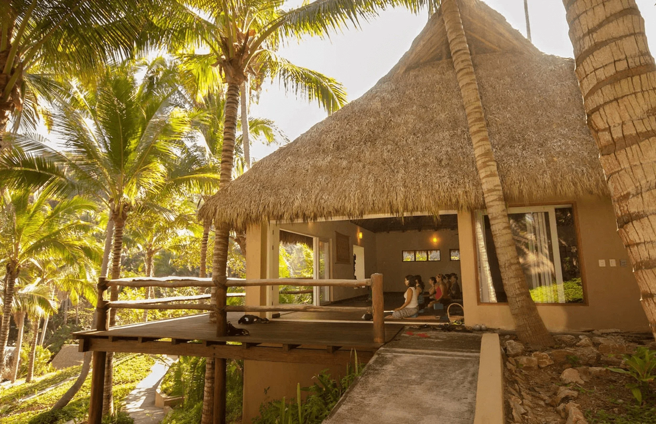 Thatched-roof yoga palapa among palm trees at Punta Monterrey, Mexico