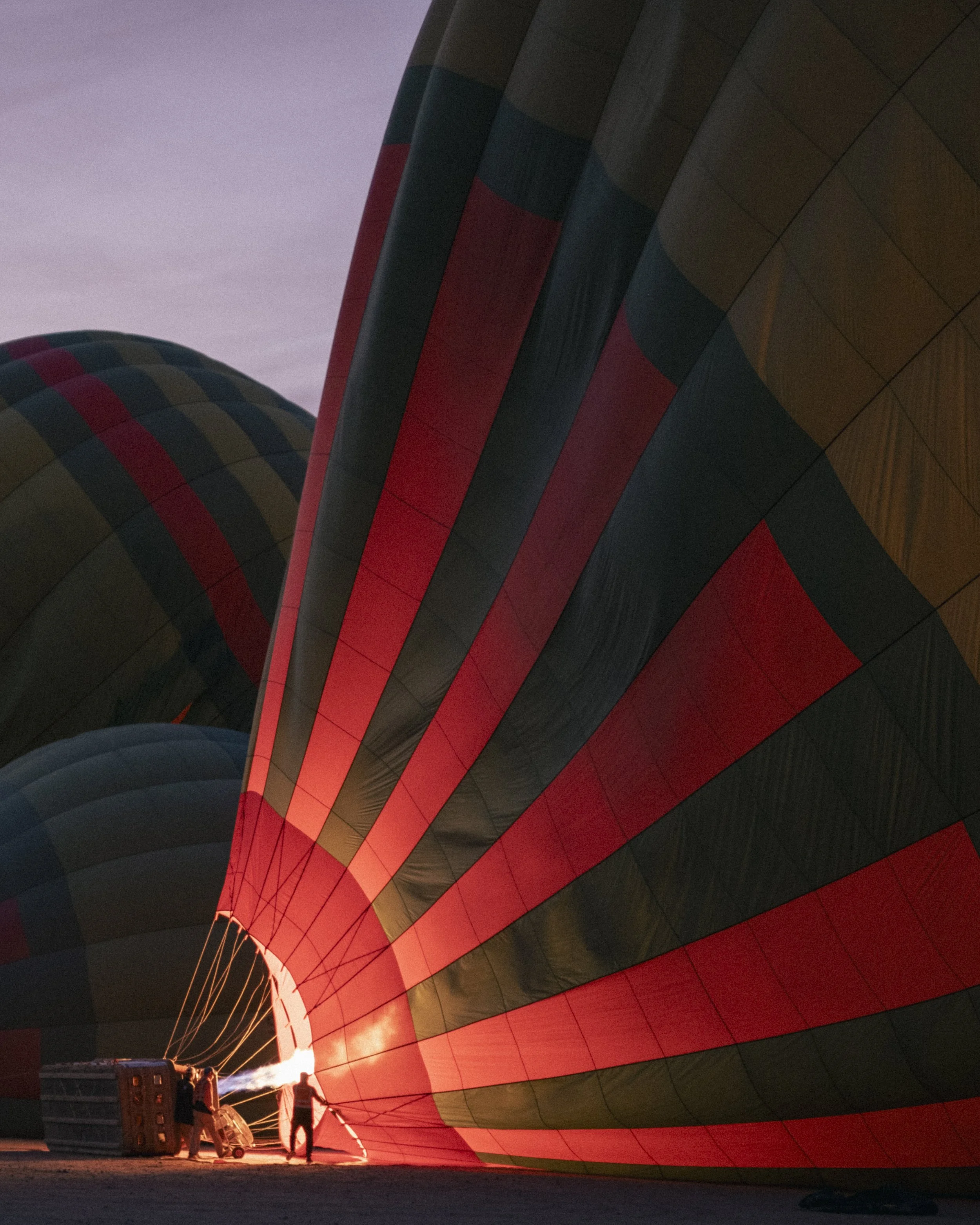 DSCF9517.jpg