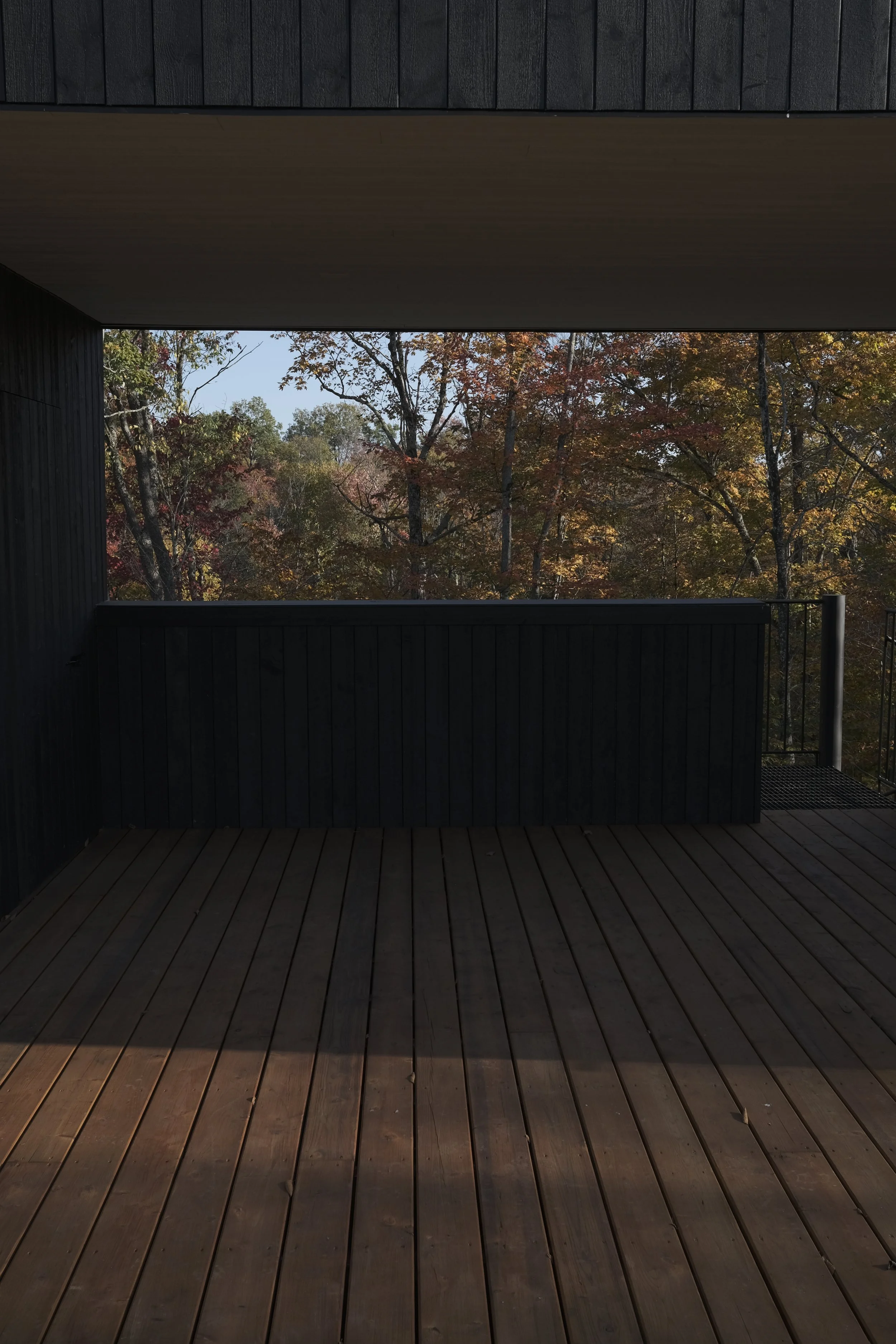 A dark wooden balcony or patio overlooking a forest with autumn-colored trees.