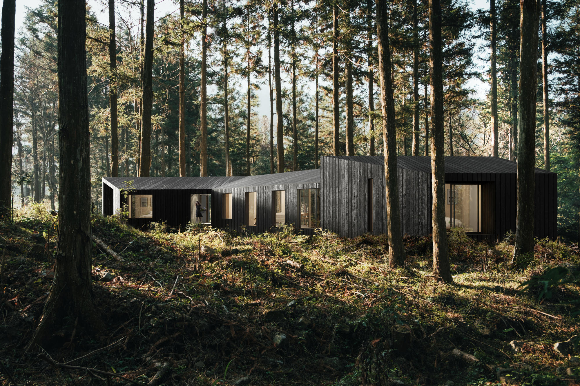 Modern black cabin with large windows set in a dense forest with tall trees and green undergrowth.