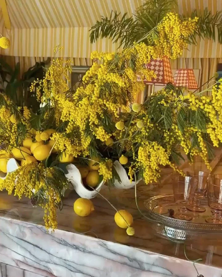 Reminiscing about a few days spent in South Florida, with the best travel buddies @jacksonwarreninteriors.

1-6. Snippets from the forever inspiring @kbshowhouse Palm Beach

7. Sancerre lunch at @thecolonypalmbeach 

8-9. R+D with @gindesigngroup @th