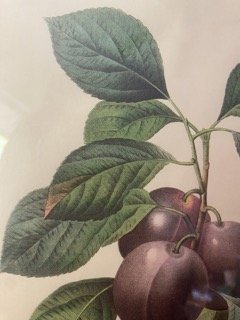 IMG_1231 Small.jpeg