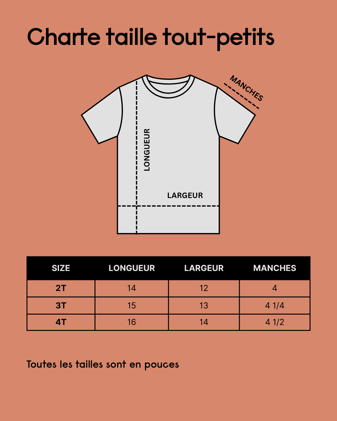 charte taille t-shirt tout petits.png
