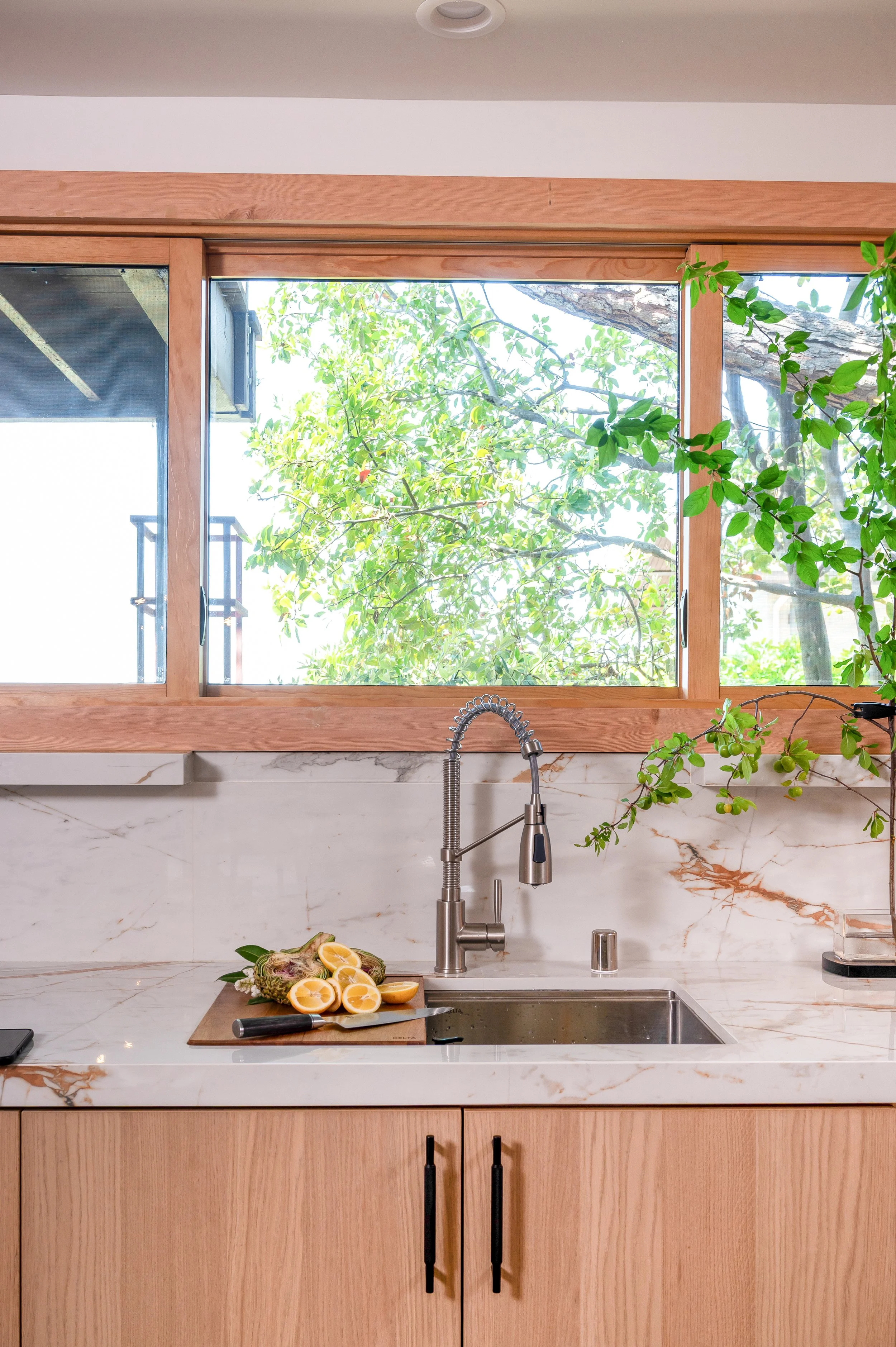 Los Charros-5148-window.jpg