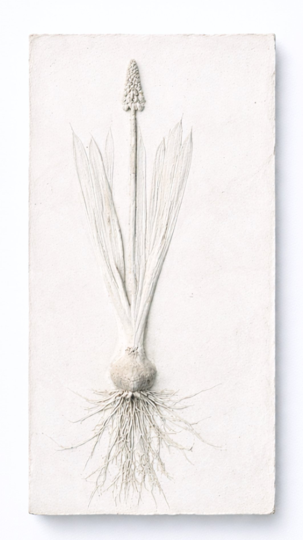 botanic imprints 30.jpg