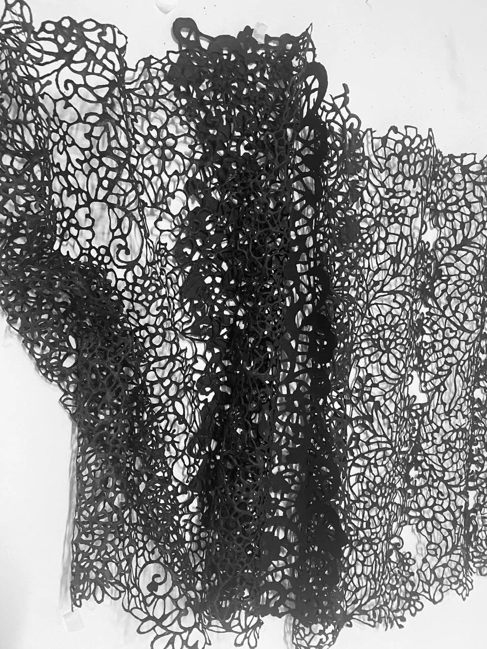 WhatsApp Image 2026-03-08 at 16.51.23 (2).jpeg