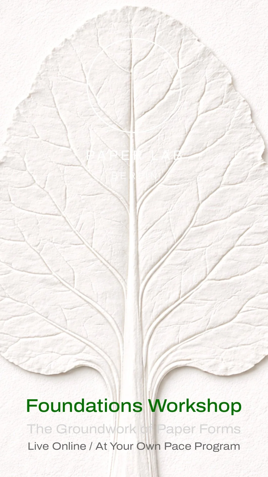 Foundations Workshop The Groundwork of Paper Forms Live Online : At Your Own Pace Program 20.jpg